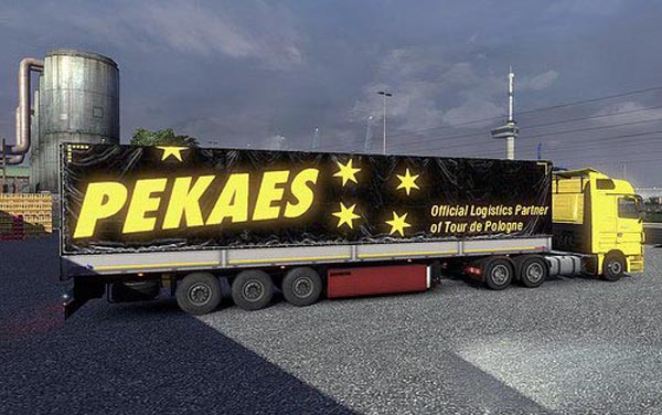 Schmitz PEKAES trailer skin