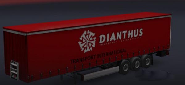Dianthus Trailer